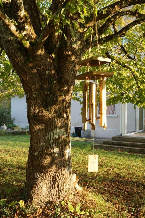 La Montagne Sud Bed and Breakfast Allemans Εξωτερικό φωτογραφία